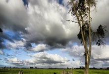 轻松登录天涯社区论坛的方法