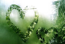 贾青天涯论坛回忆杀：那个参与了论坛早期辉煌的90年代老铁