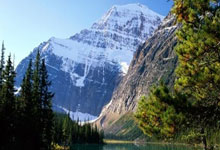 轻松登录天涯社区论坛的方法